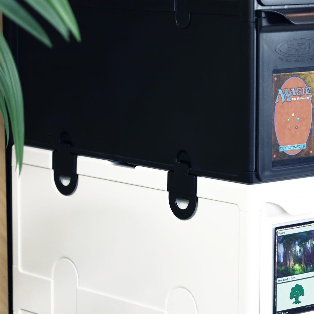 BCW 6-drawer graded card cabinet — lifestyle11