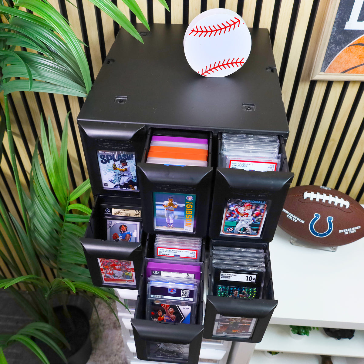 BCW 6-drawer graded card cabinet — lifestyle6