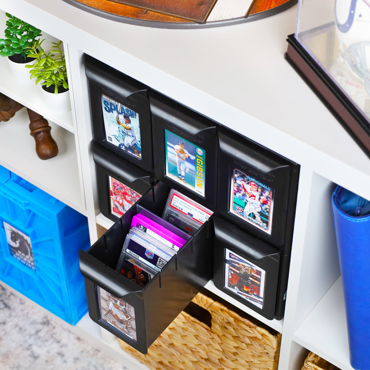BCW 6-drawer graded card cabinet — lifestyle8