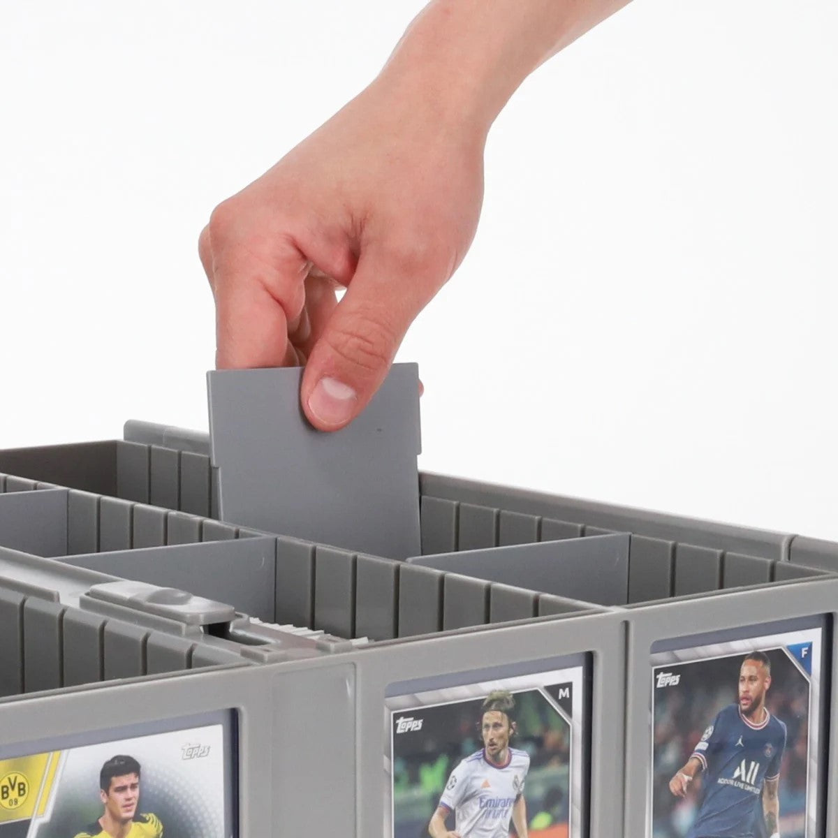 Bundle component: BCW 3200 Card Bin partitions